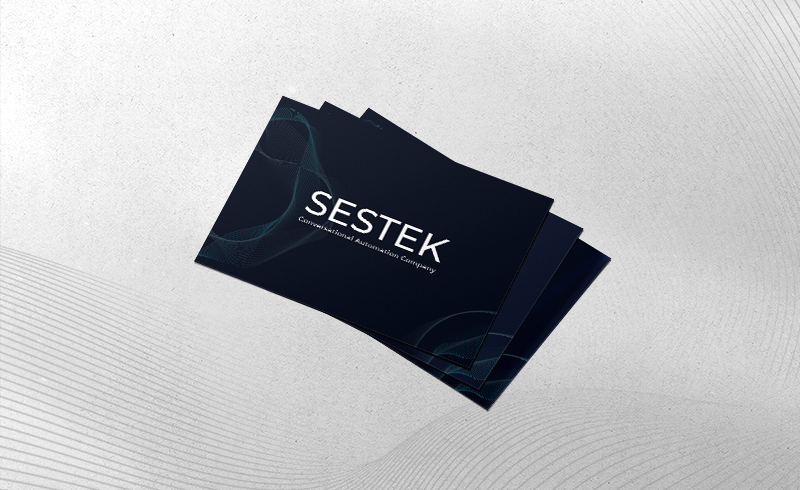 SESTEK Company <br> Brochure