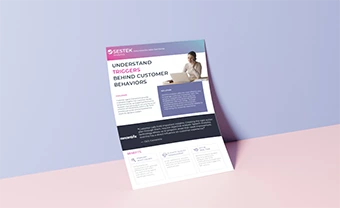 SESTEK Analytics <br> One-pager