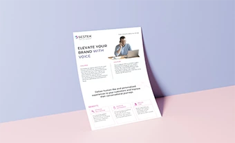 SESTEK Text-to-speech <br> One-pager