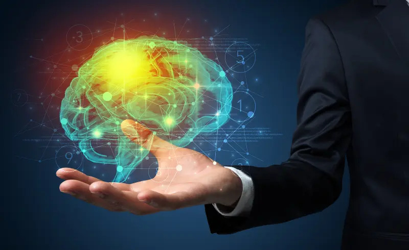 A Neuropsychological Approach to Product Management