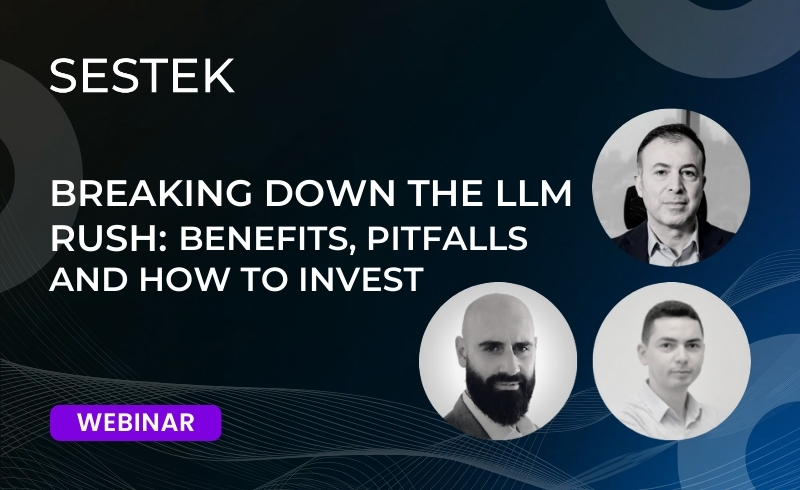 Breaking Down the LLM Rush: Benefits, Pitfalls, and How to Invest