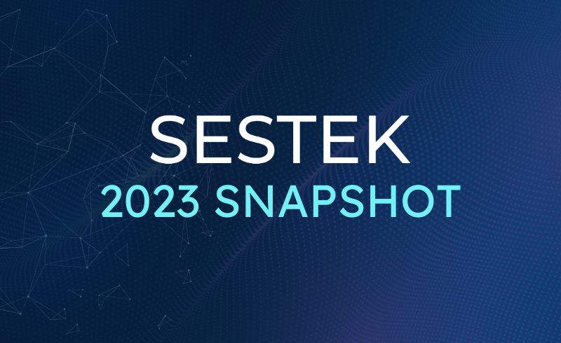 SESTEK Update: Snapshot of A Successful Year